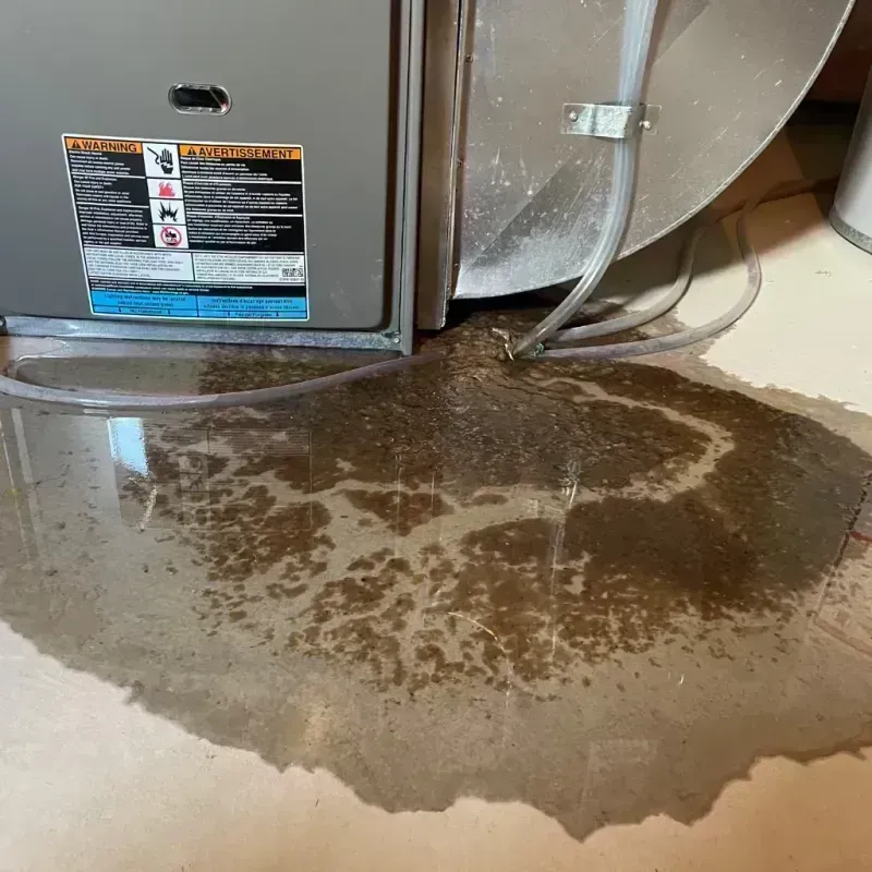 Appliance Leak Cleanup in Fulton, MO